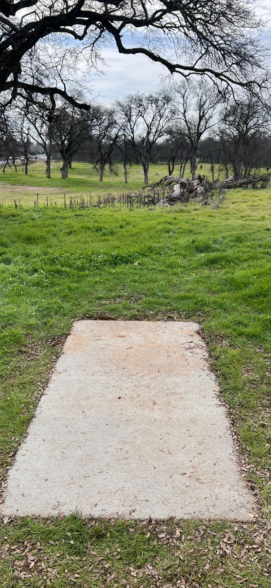 Hole 11