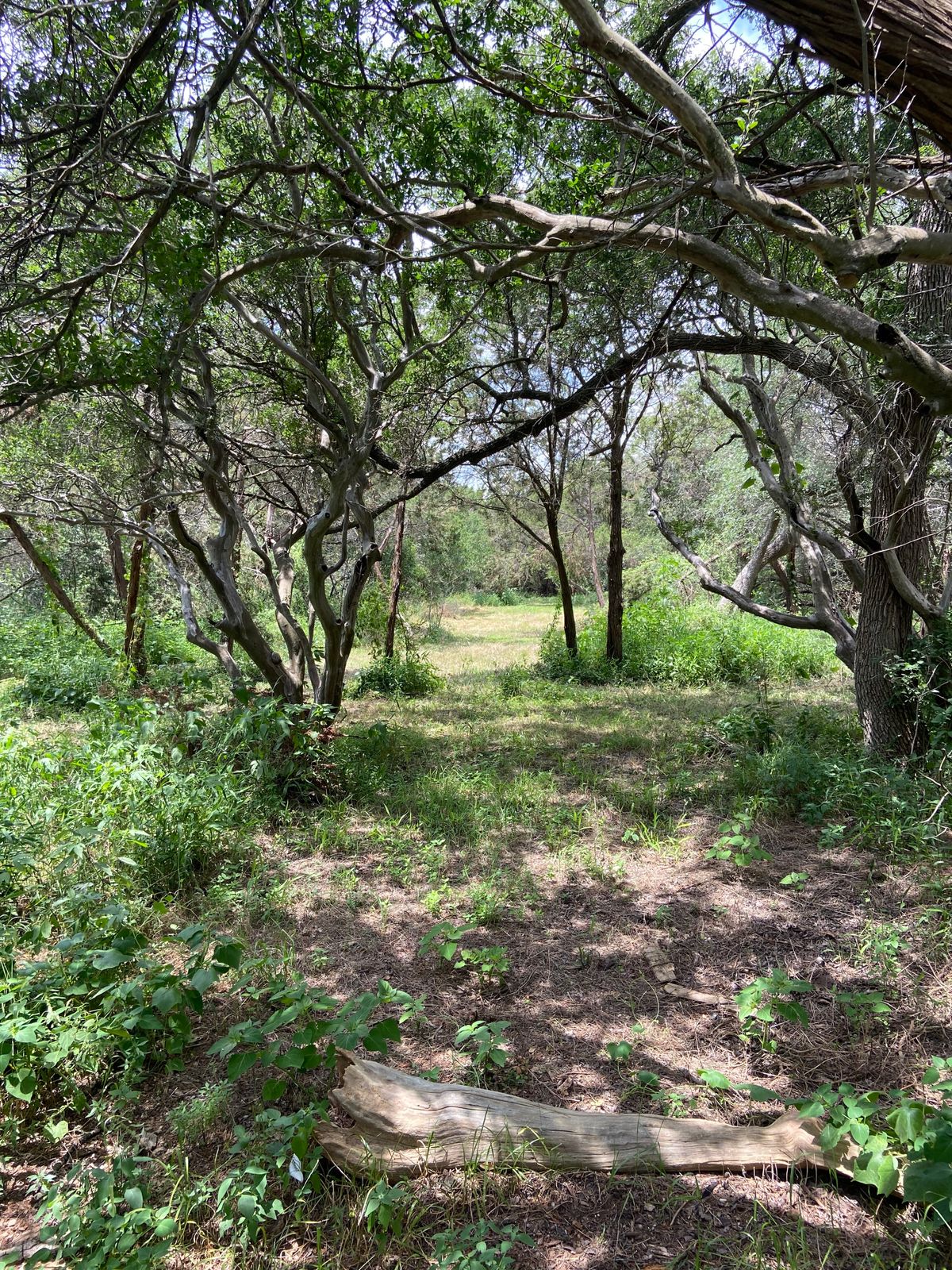 Hole 14 tee