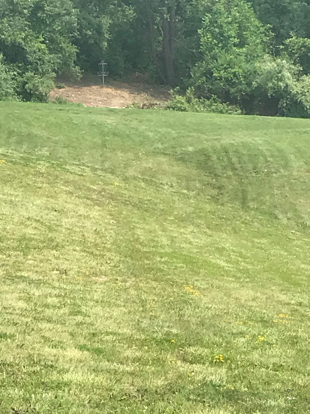 #3 from the tee looking to the basket