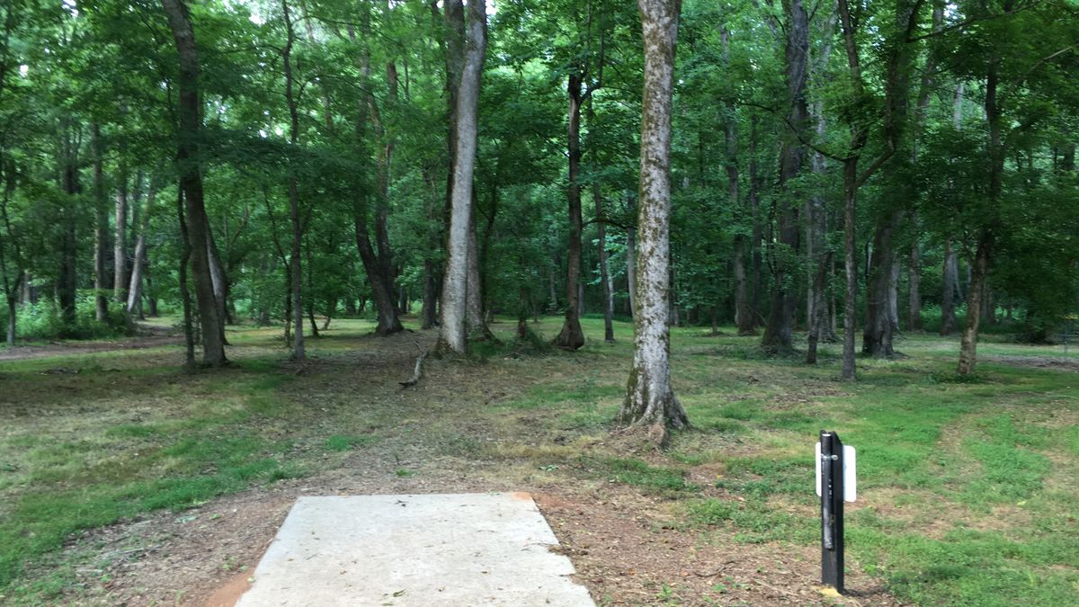 Hole 4