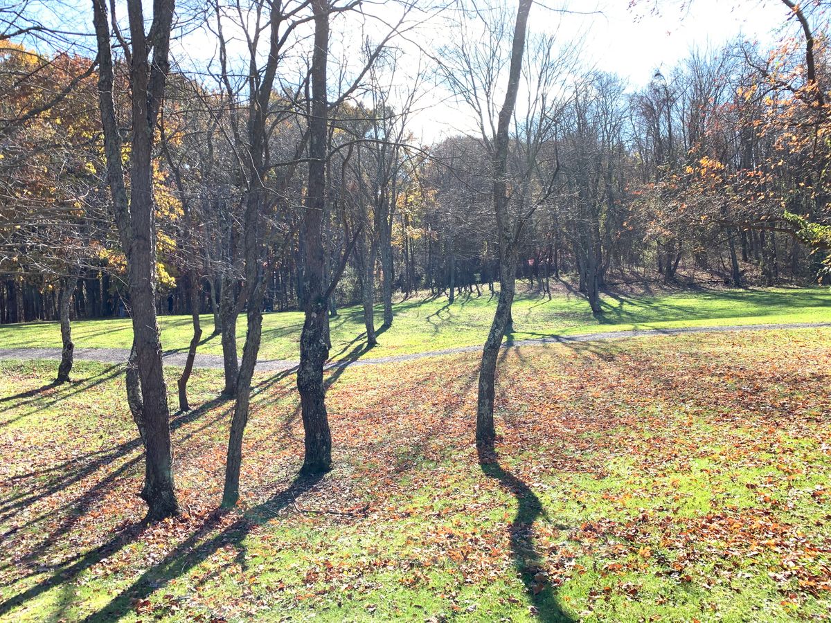 Hole 6C approach shot