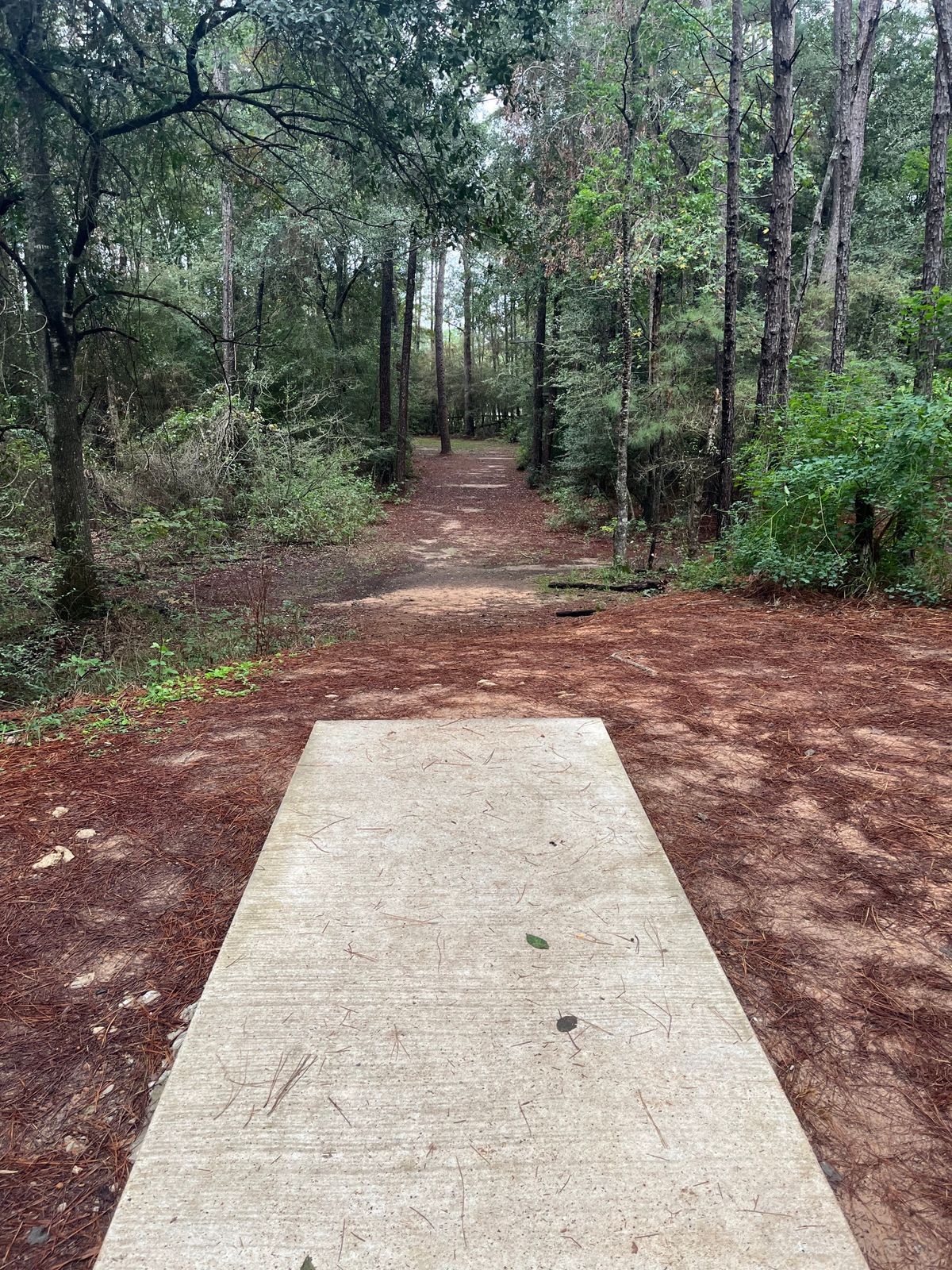 Hole 3 11/11/23