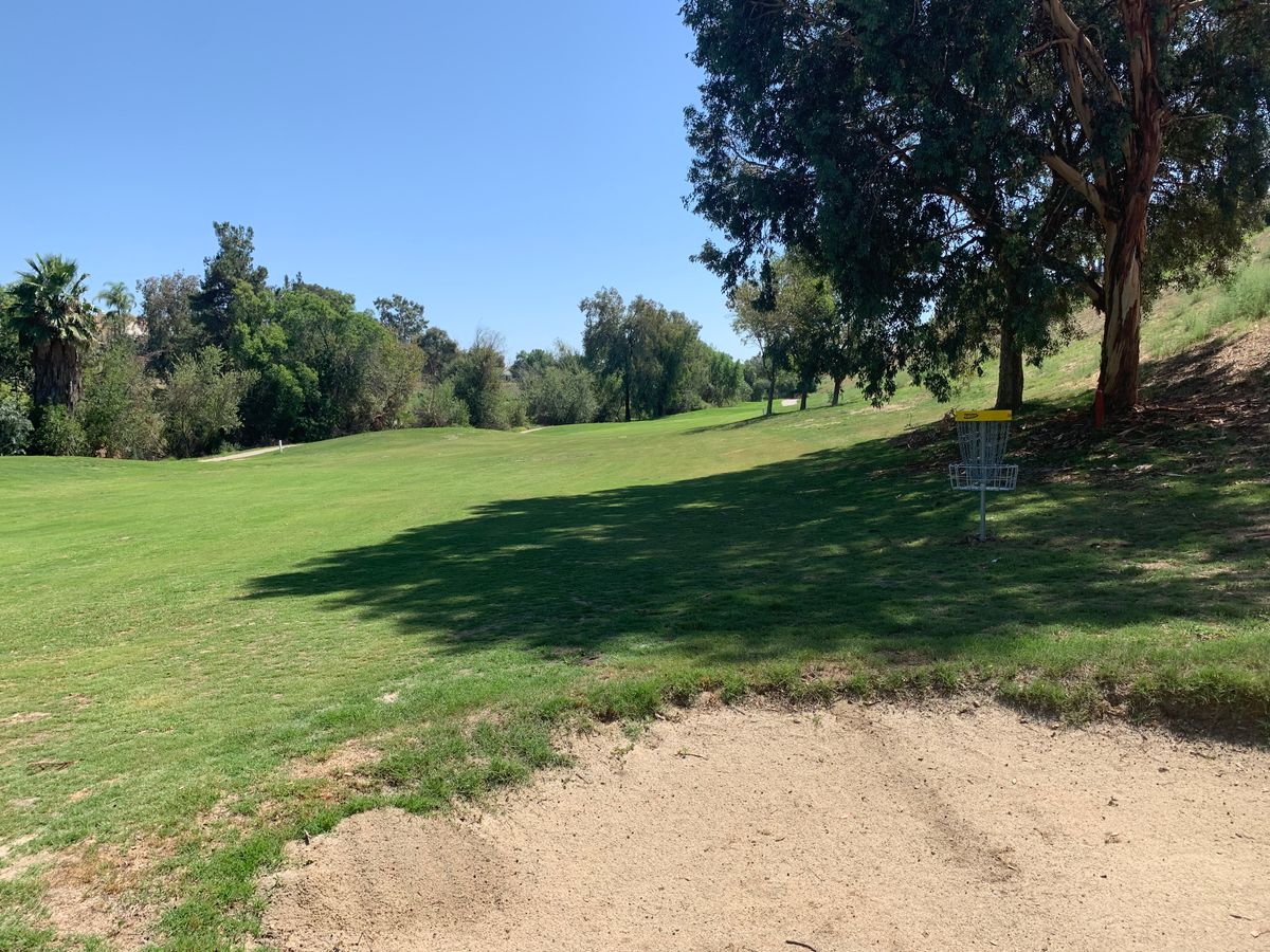 Omega Hole 10 Basket
