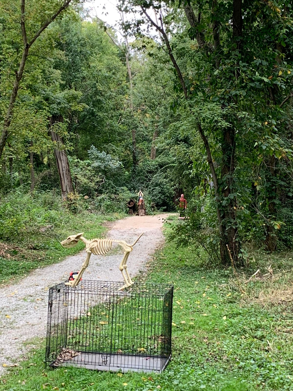 Park was decorated for their Halloween hayride