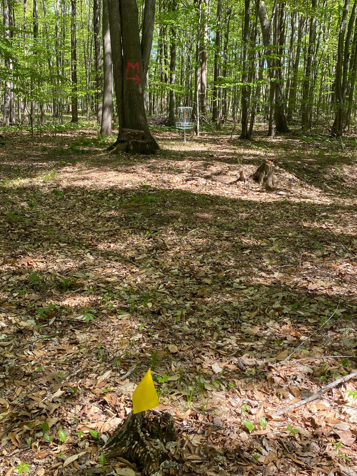 Mando tree and missed mando flag on #6
