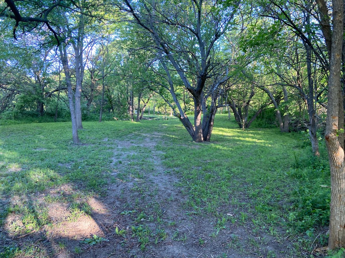 mid fairway