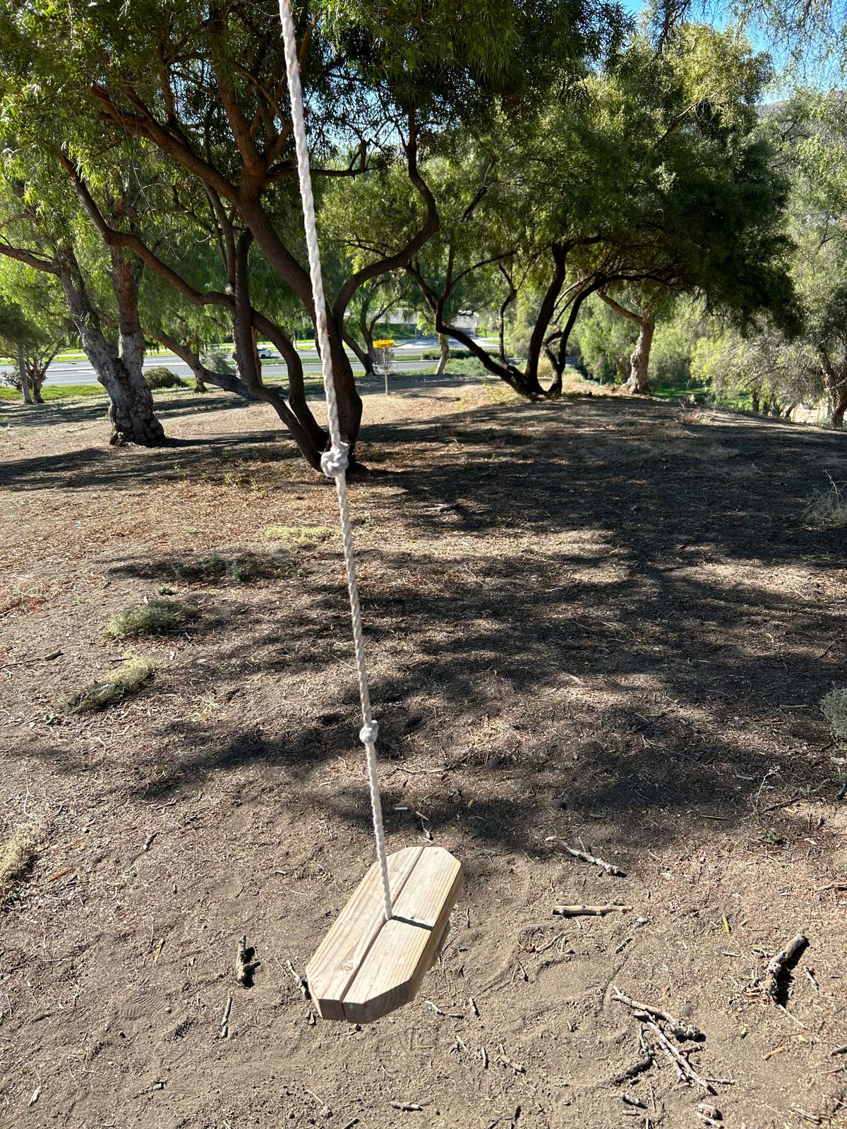 Hole 17 rope swing