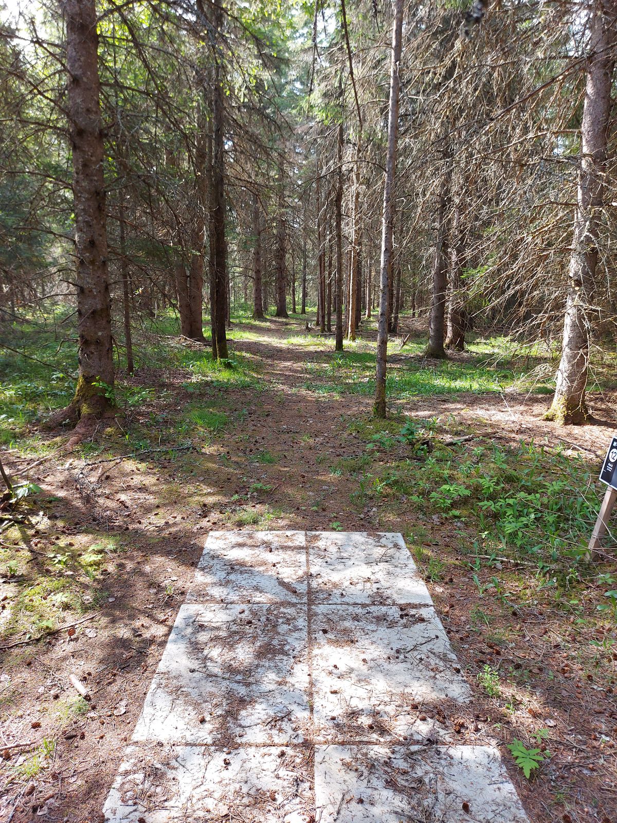 Tee pad 12.🍁🌲🍁🌲🍁🌲