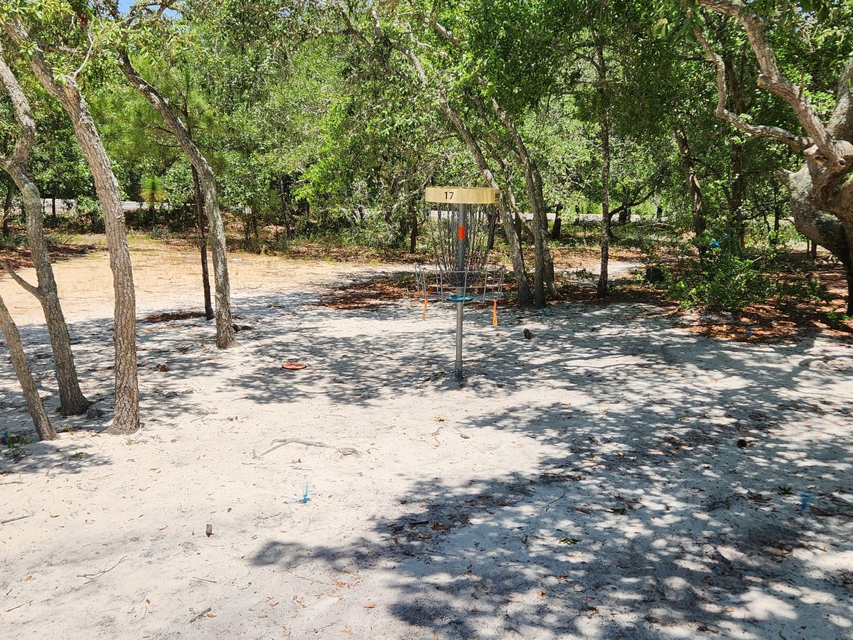 Hole 17 basket
