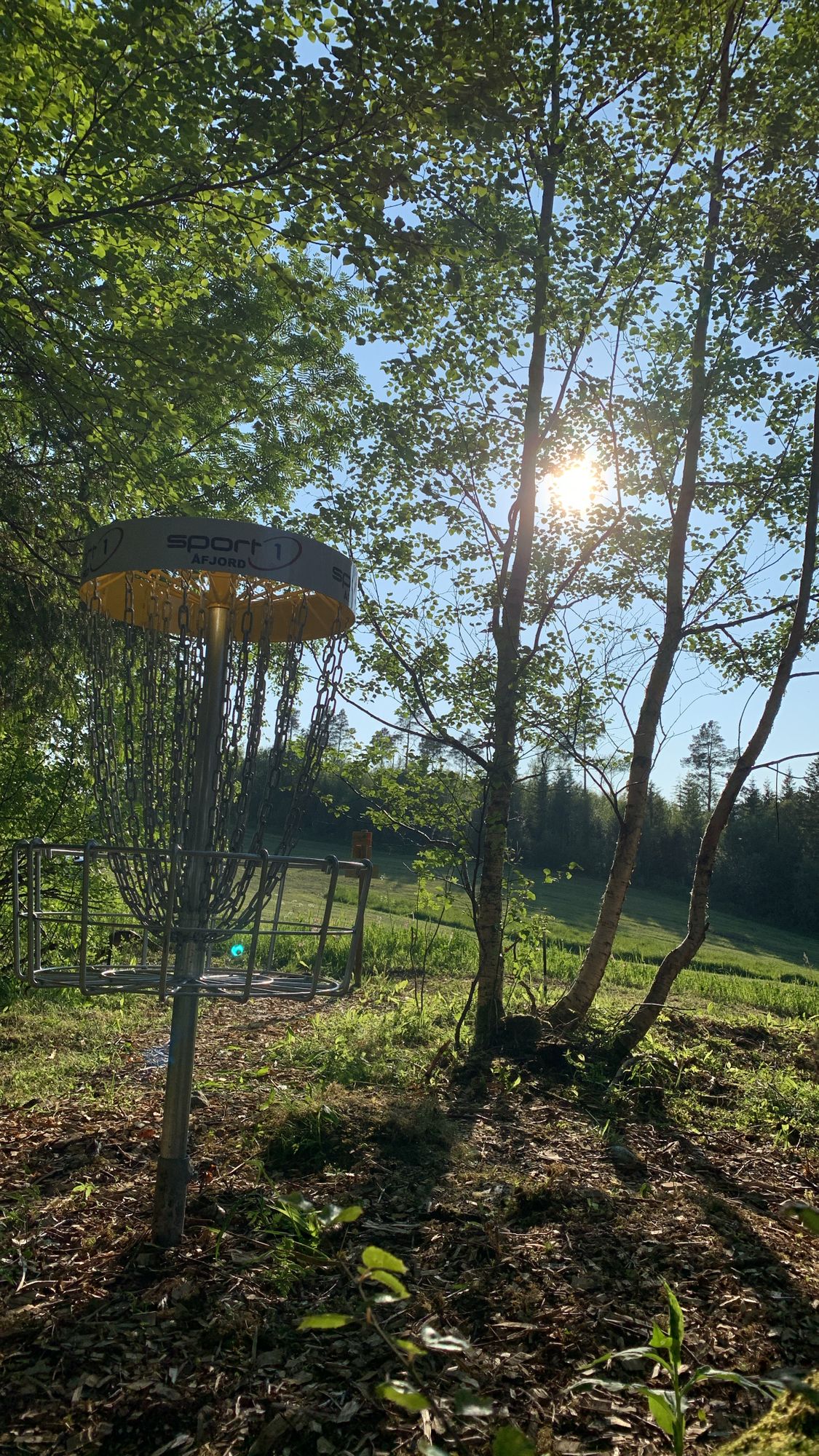 Kurv 2 i kveldssol