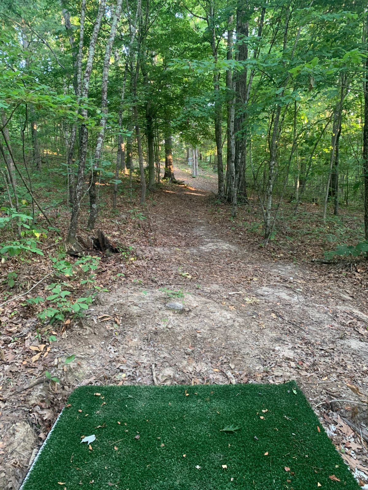 Hole #8, Par 3, 164 ft
