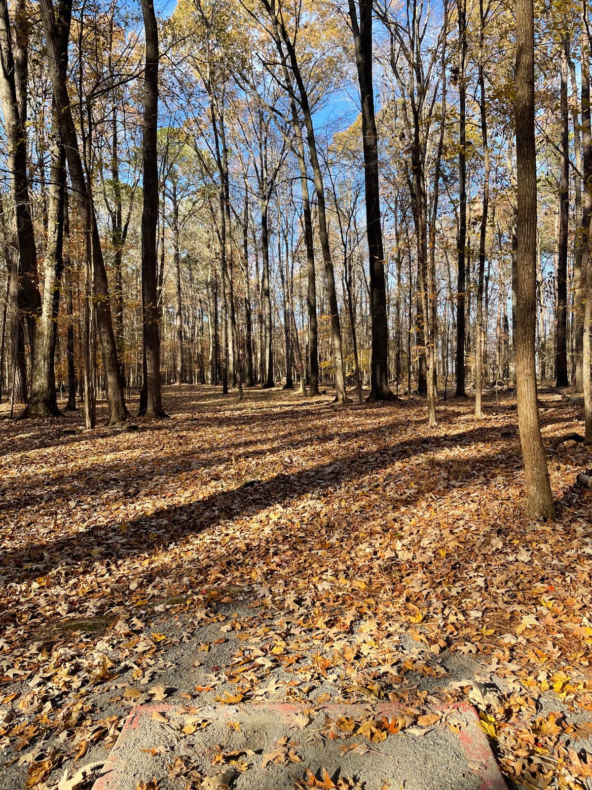 Hole 16 tee