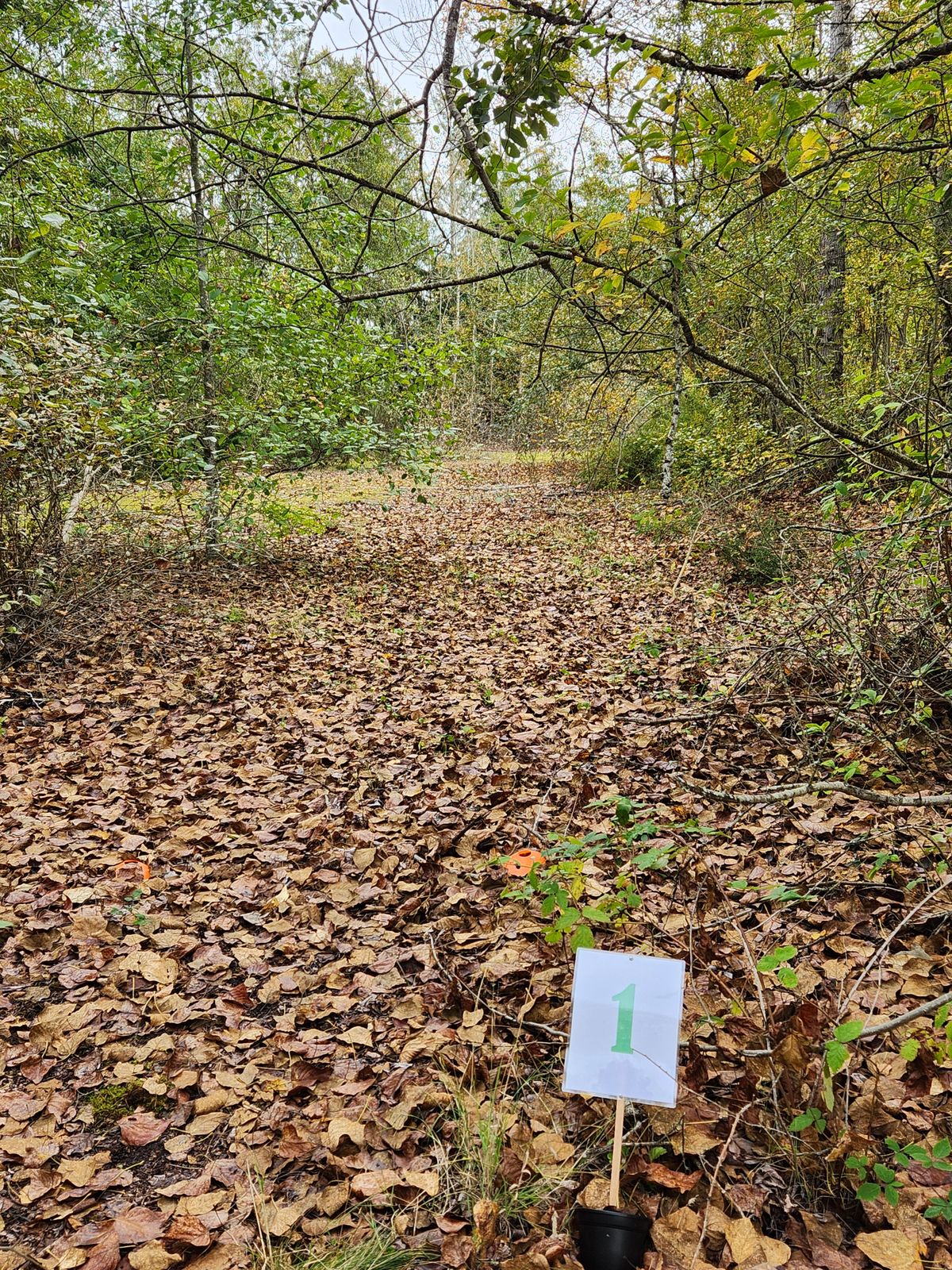 Hole 1