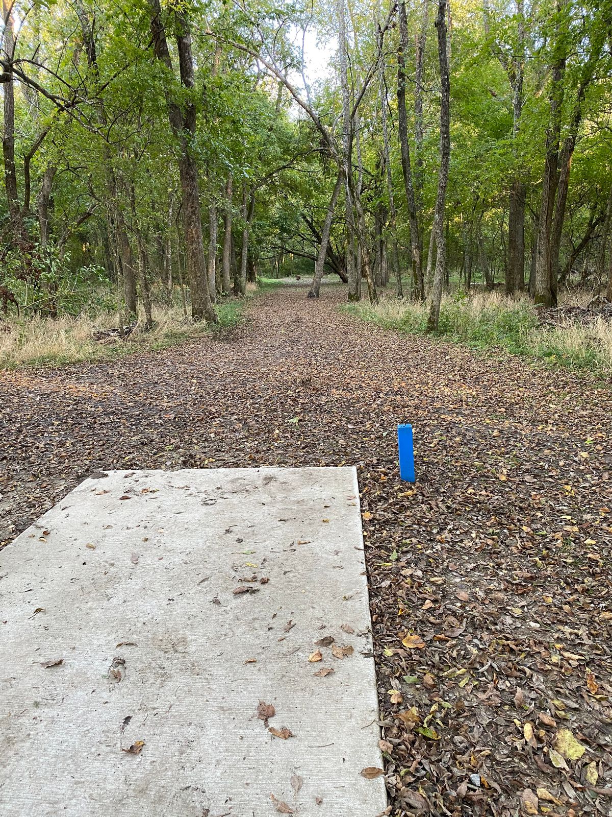 Hole 4