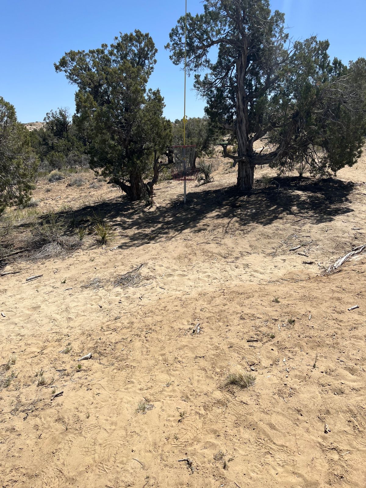 Hole 6 green