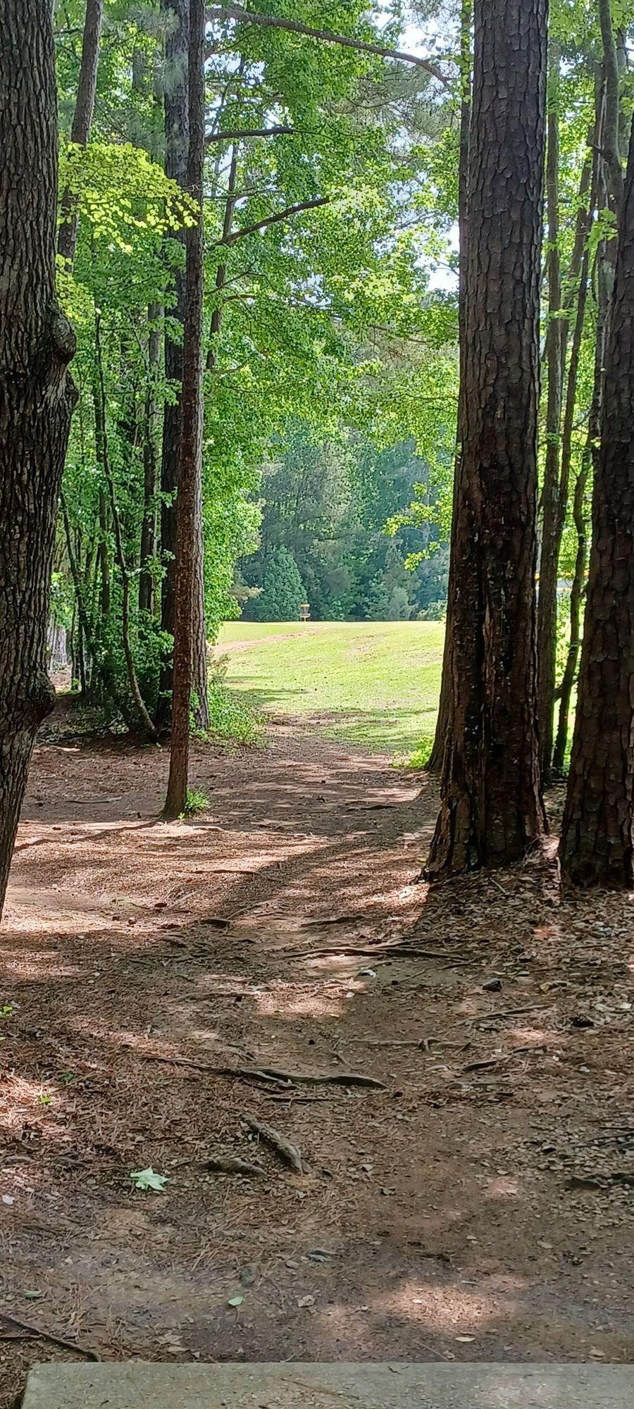11 blue tee to short pin (345')