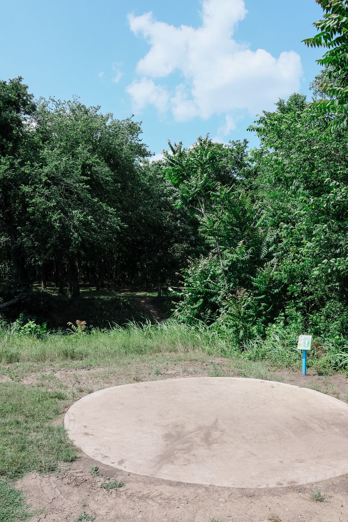 Safari Smiles DGC