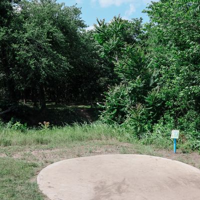 Safari Smiles DGC