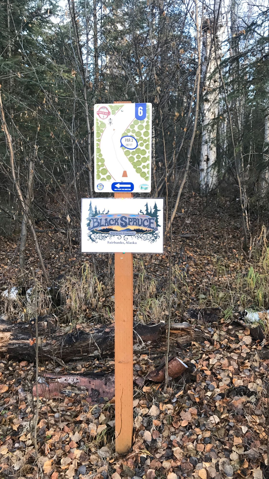 Hole 6