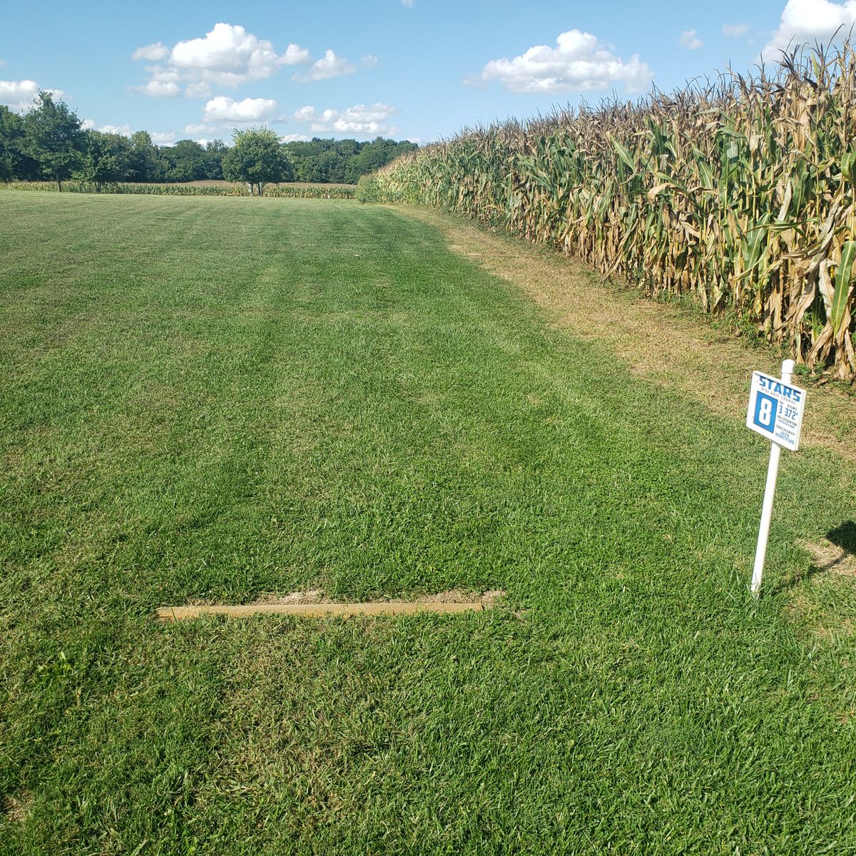 Hole 8
