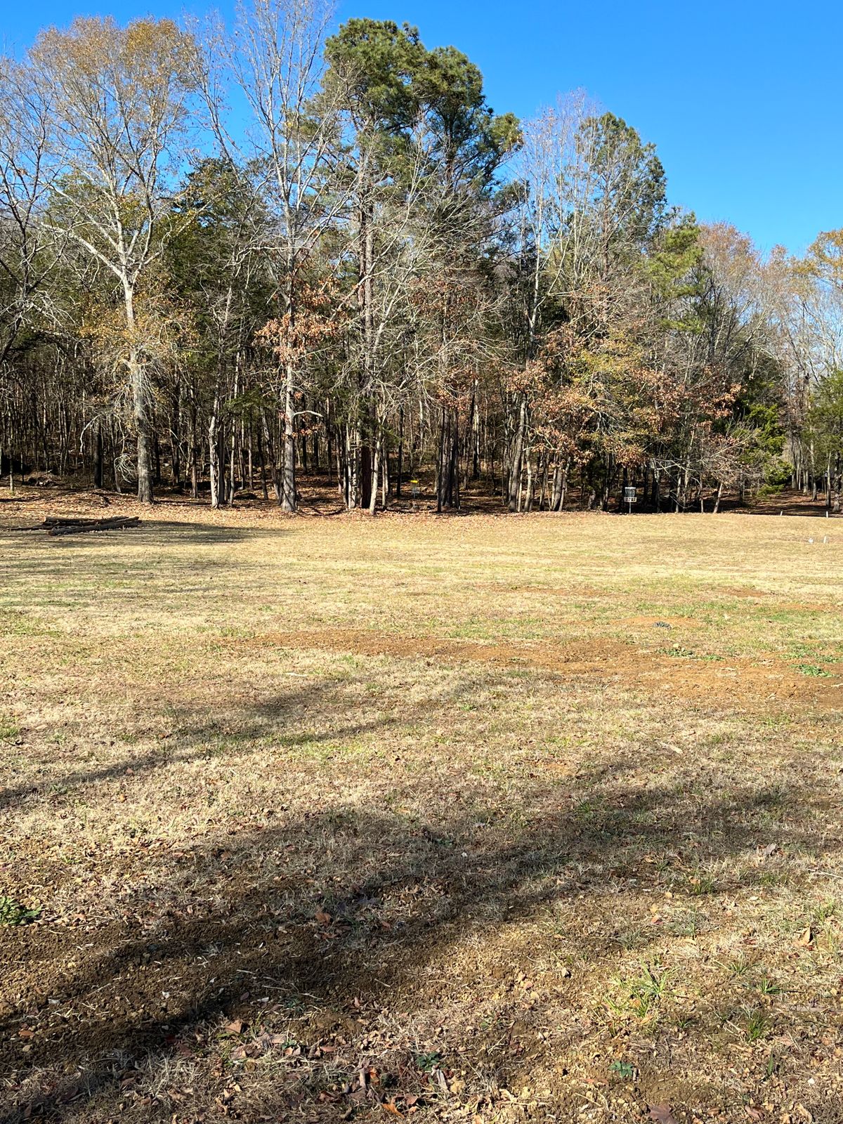 Hole 4 from the tee; Basket 13 on the right