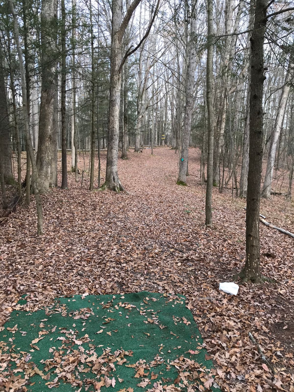 Fairway #11