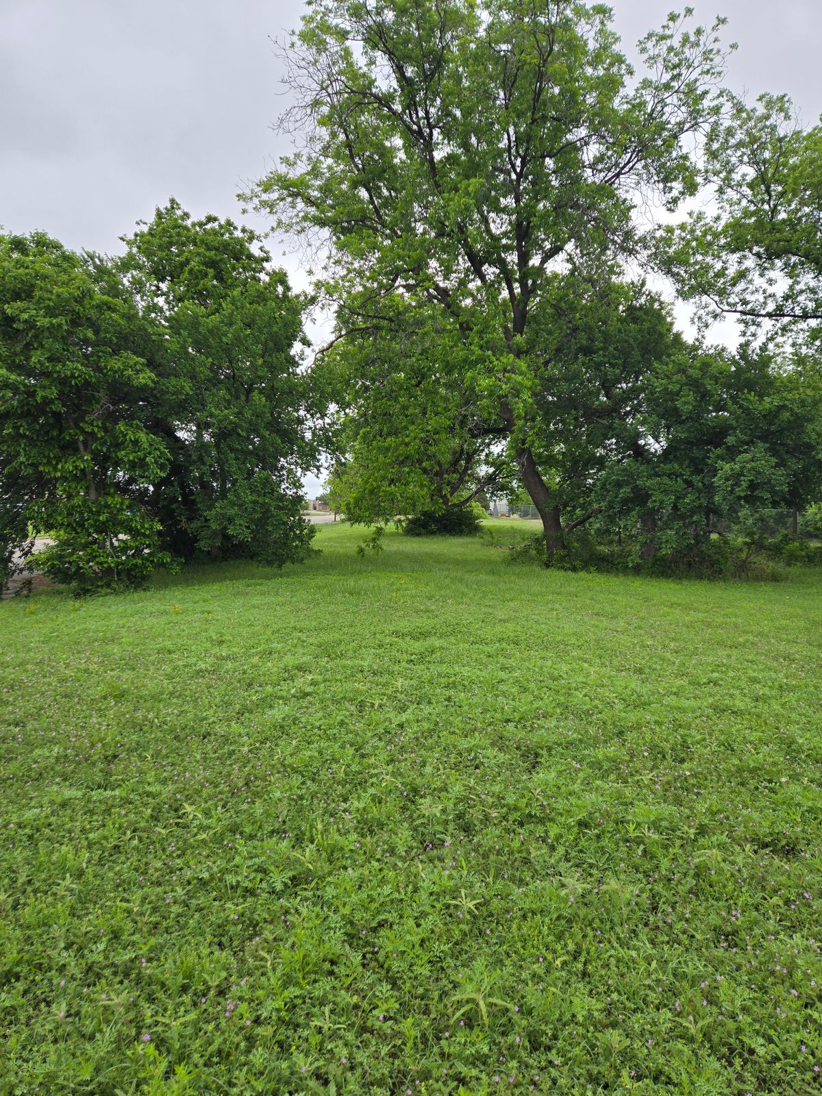 Hole 16 Tee
