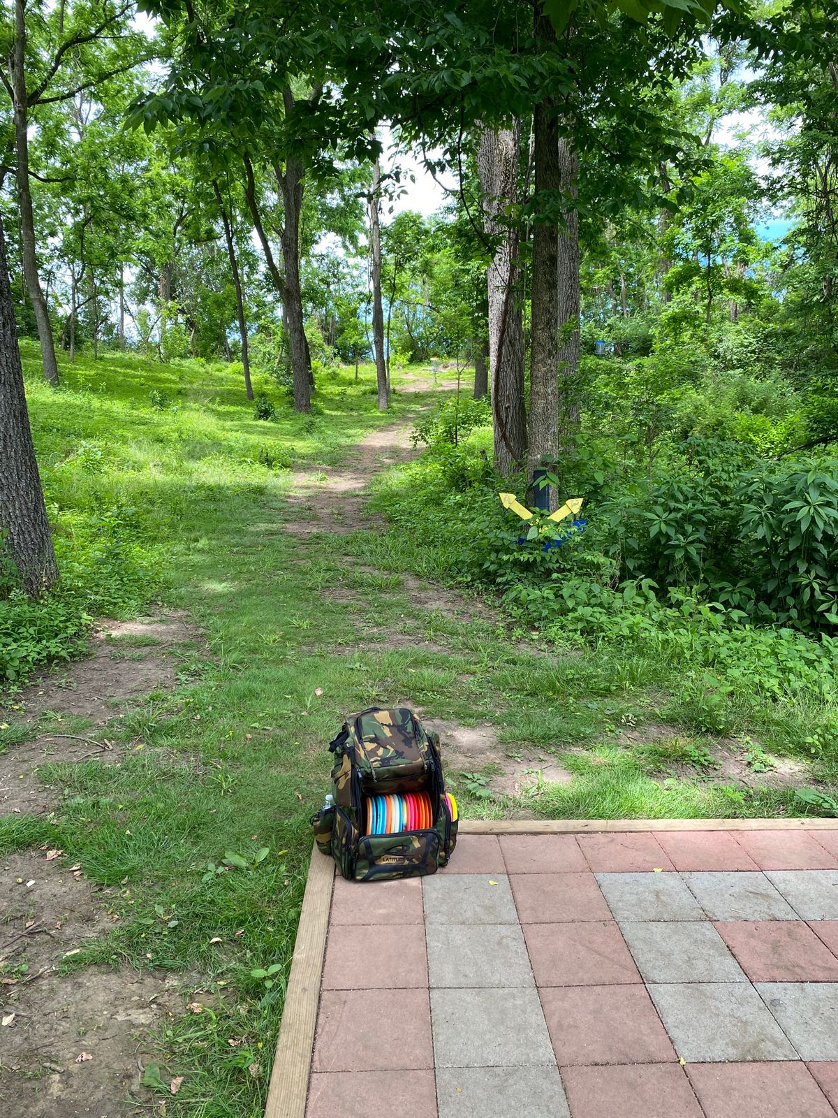 Tee #15- yellow basket to left of tree
