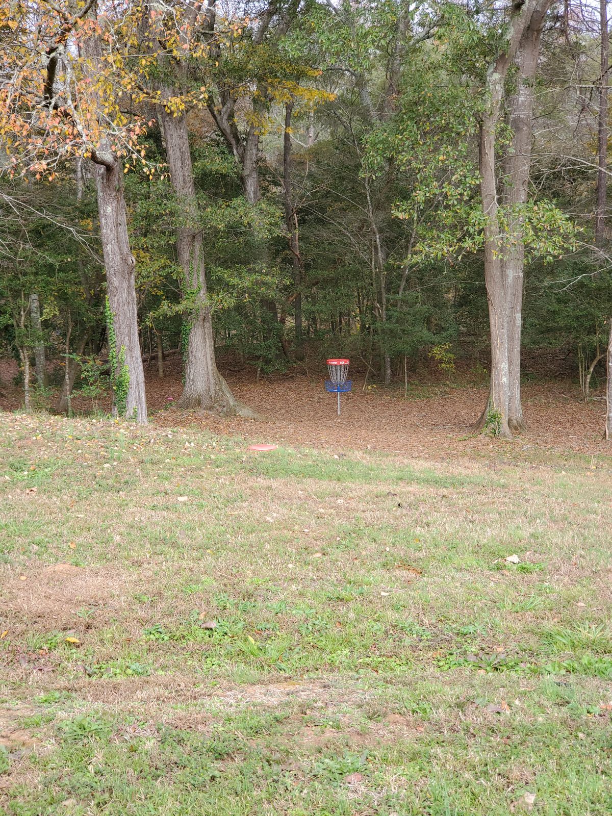 Hole 10 basket