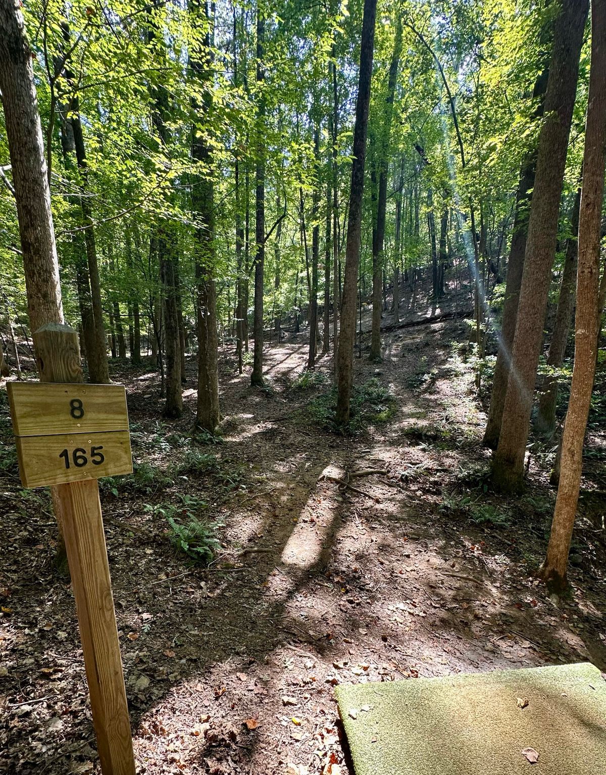 Hole 8