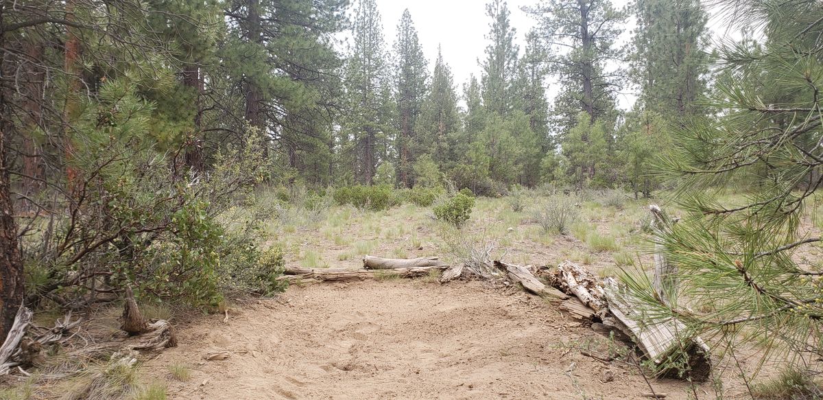 Hole one is a dog leg to the right, this is a view from the first tee pad.