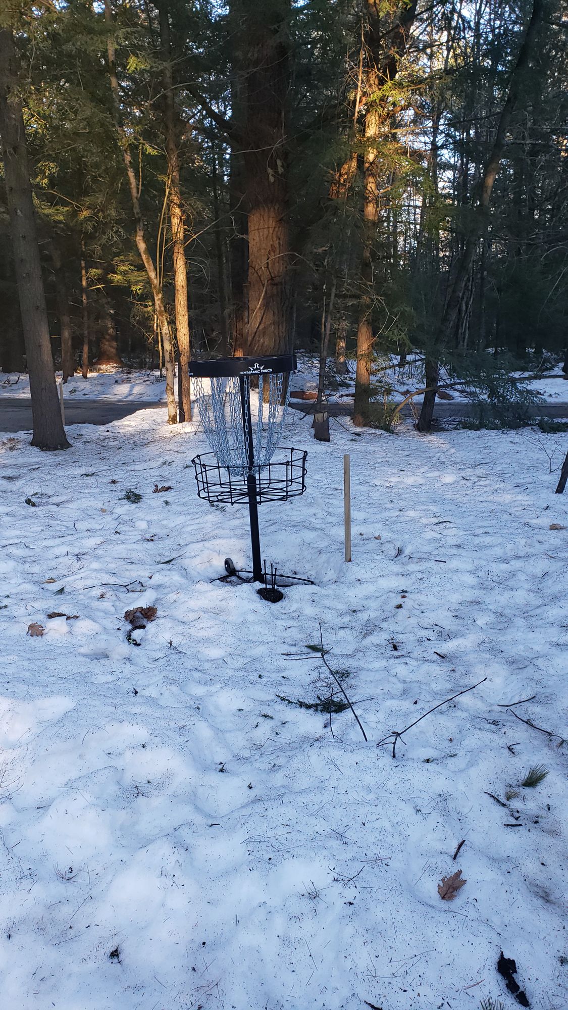 Hole 2 basket