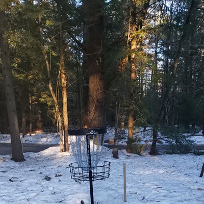 Hole 2 basket