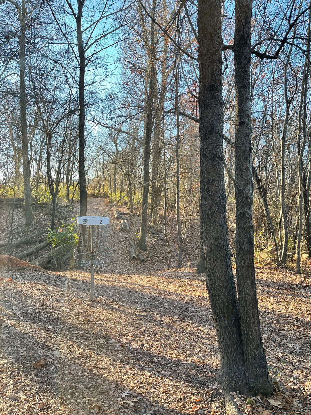 Hole 2 basket