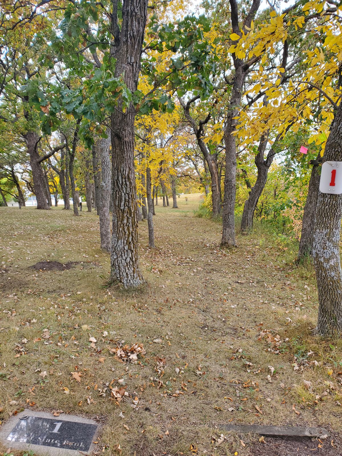 #1 Tee