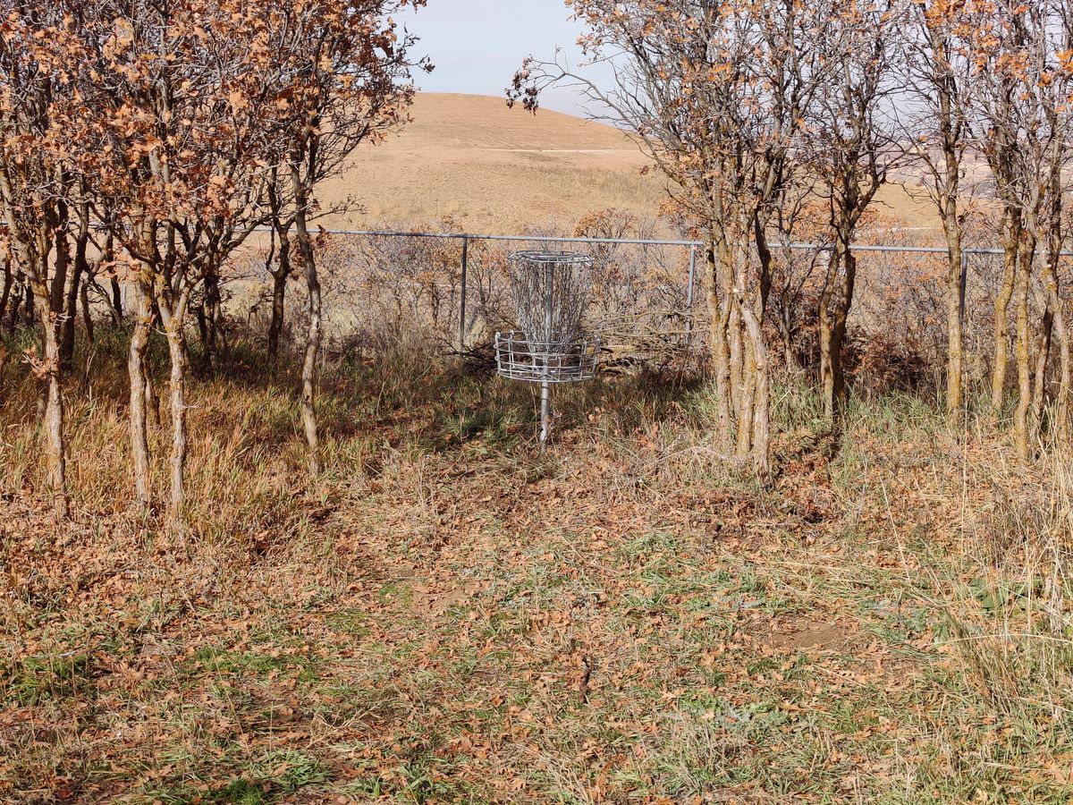 Hole #7 basket