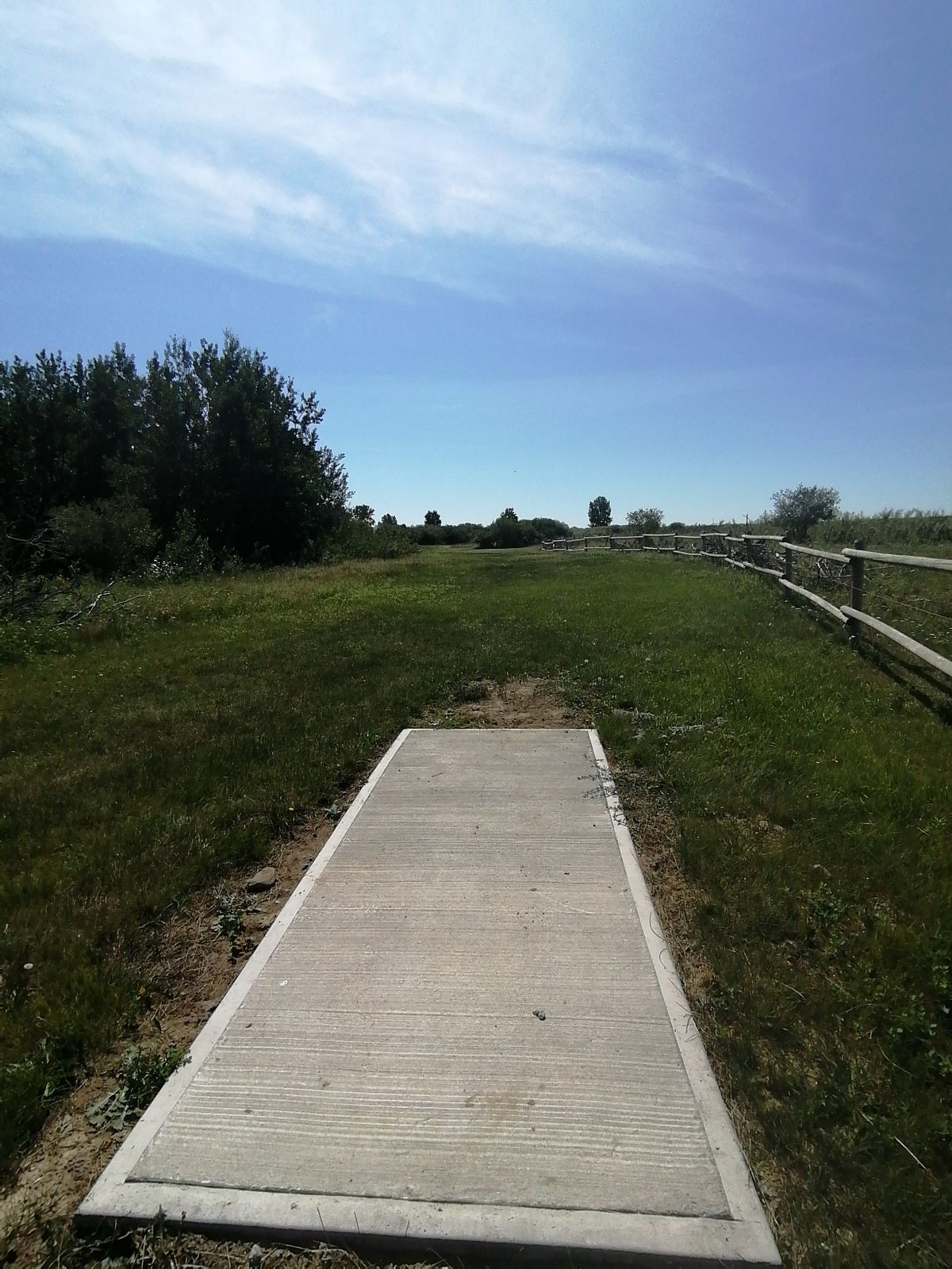 #11 OB right and loooong grass safe left. Middle well obstructed.