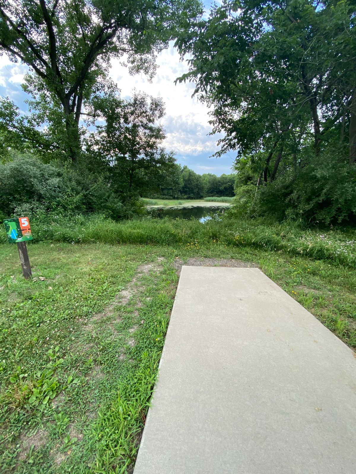 Hole 5 long tee