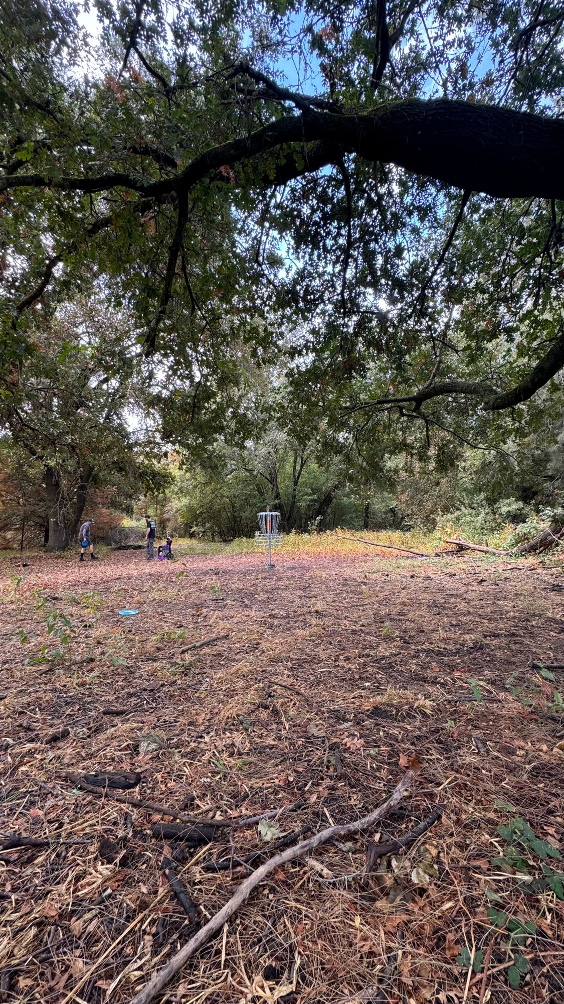 Hole 6 long.