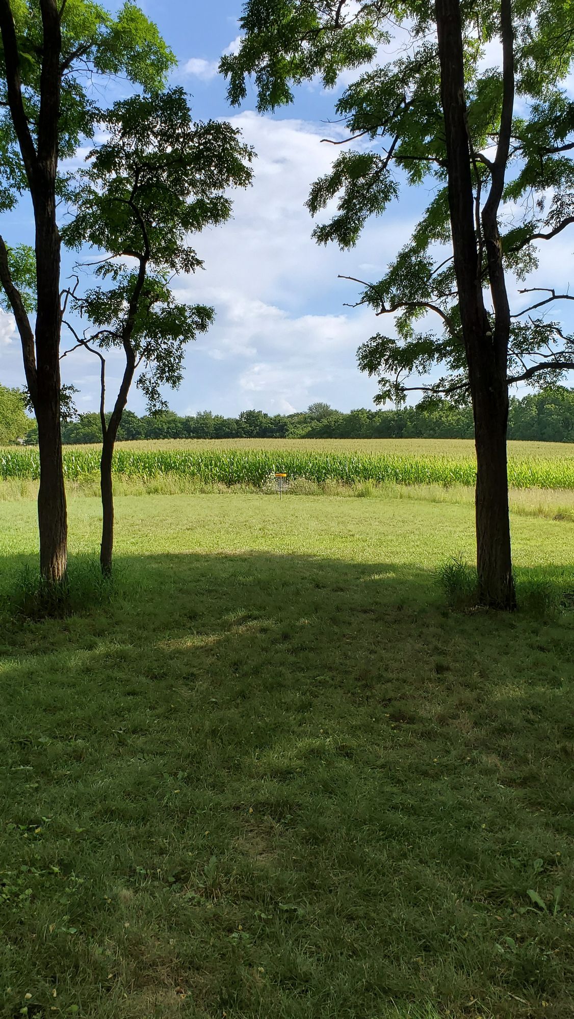 Hole 14's fairway.