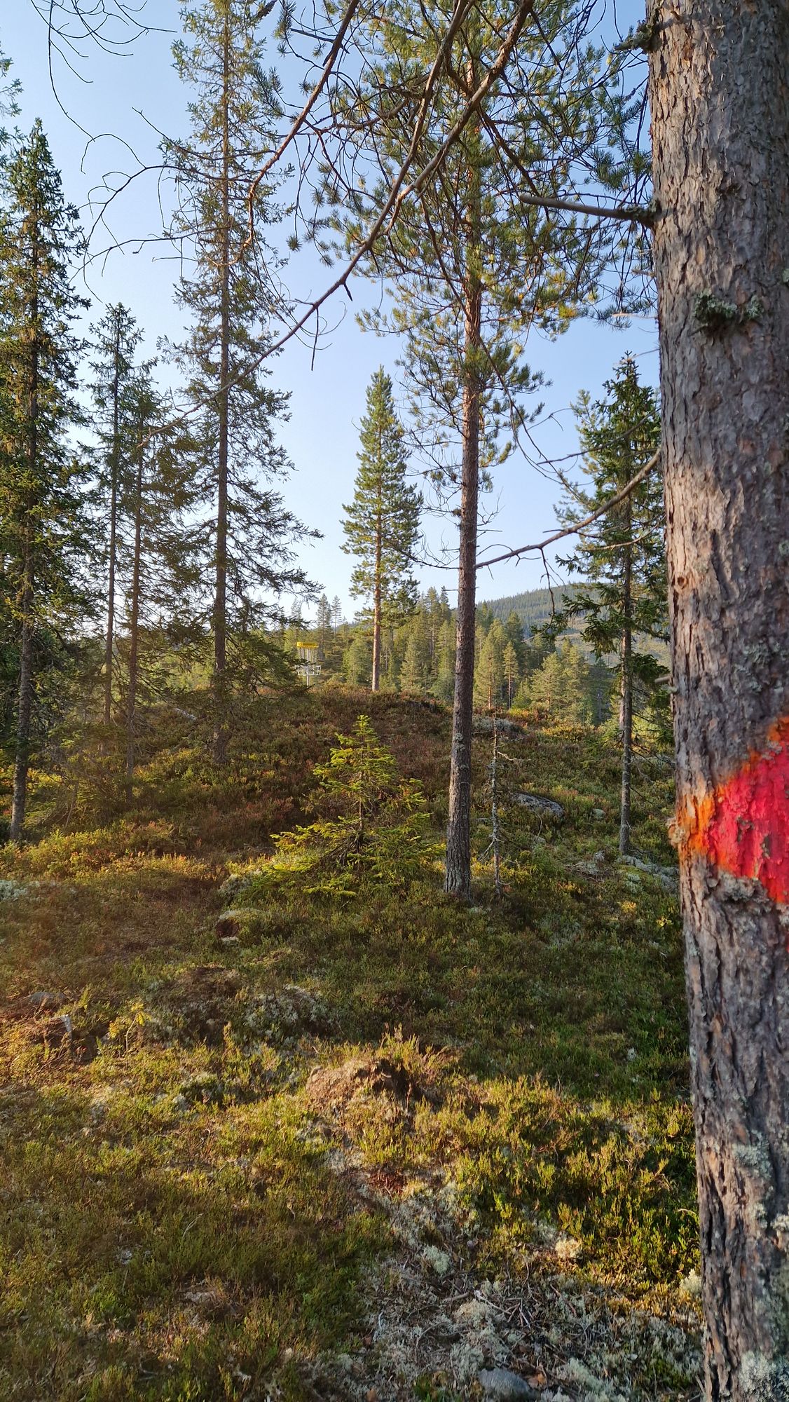 Mot kurv hull 15