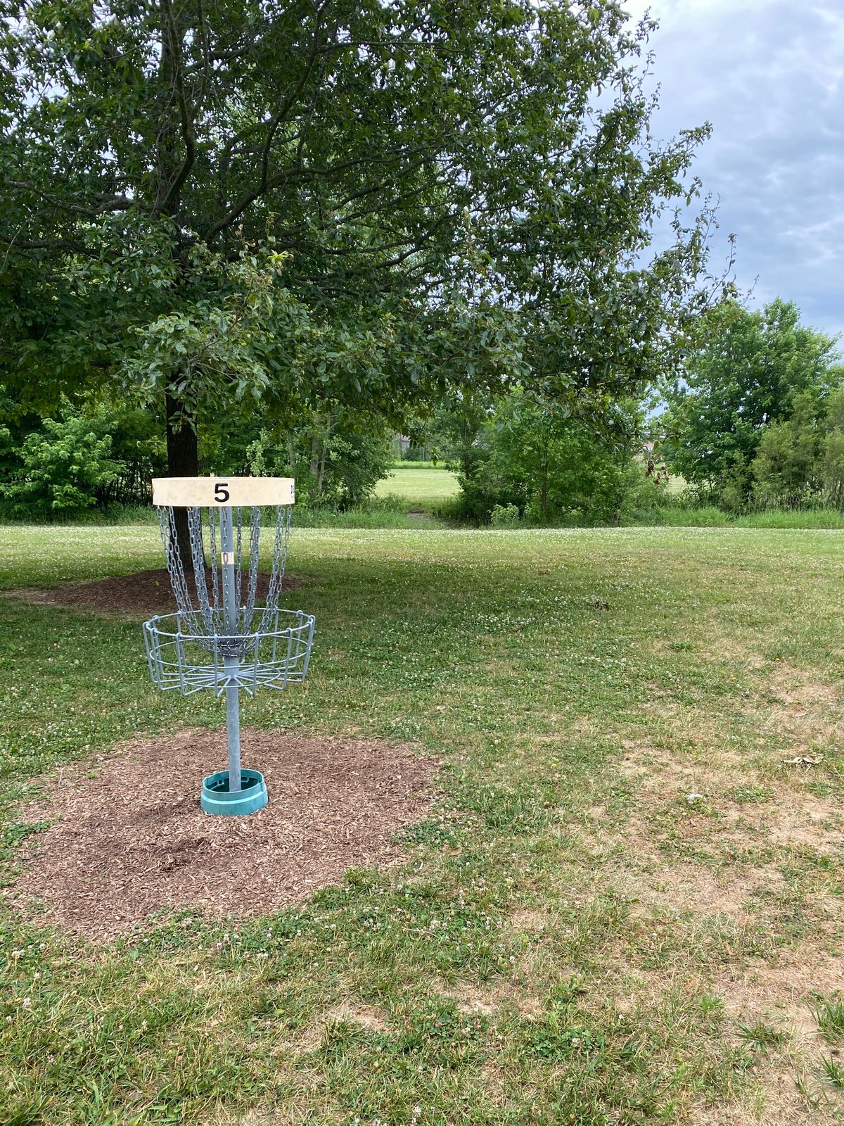 Hole 5 (Reverse)