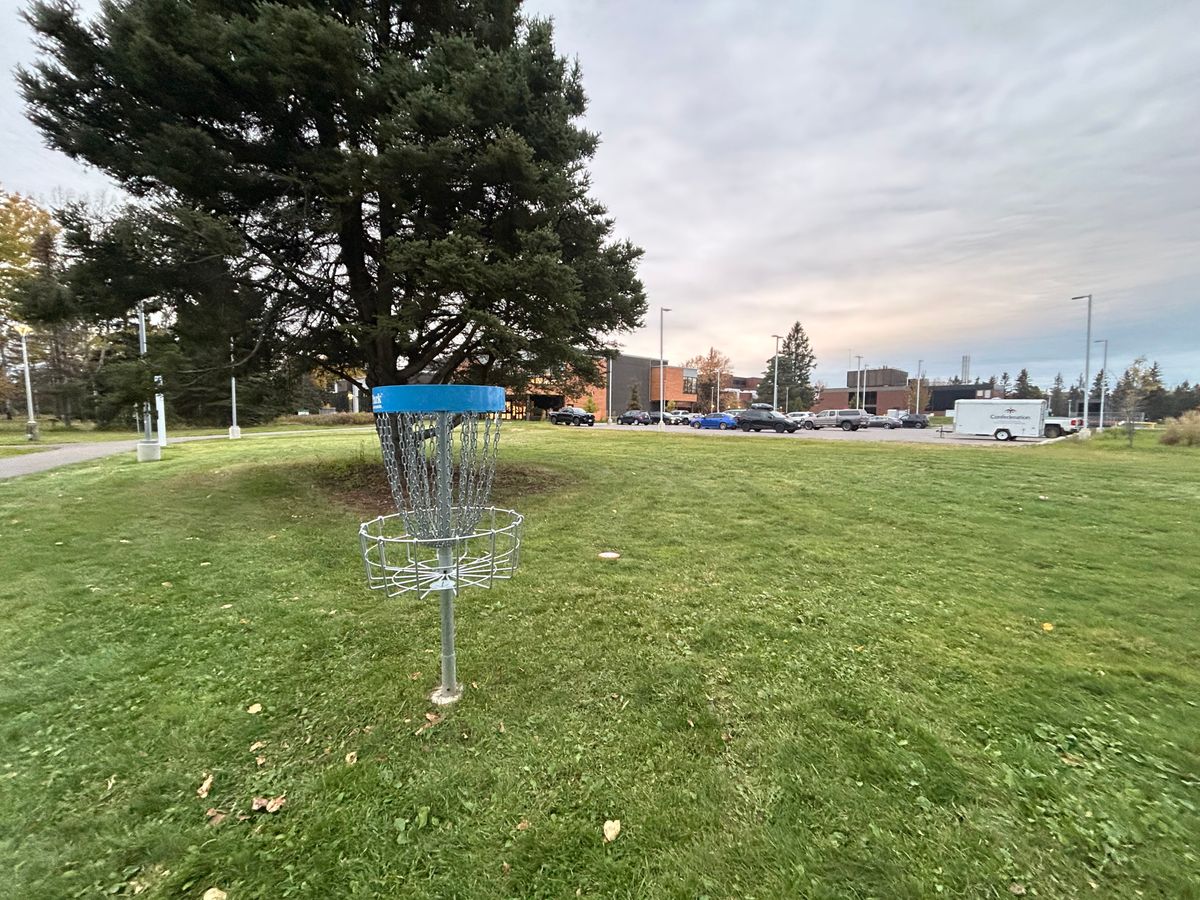 Hole 8 basket