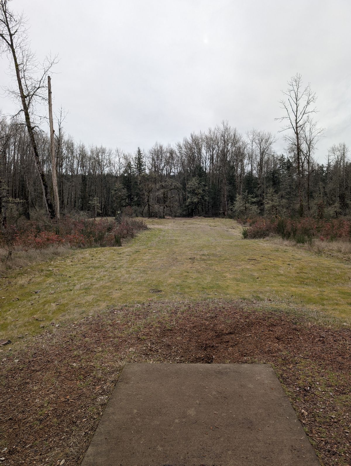 Hole 7