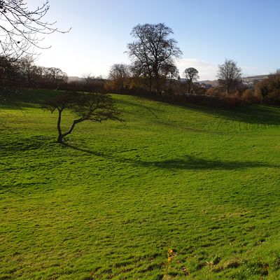 St Columb's Park. Opposite Hole 8
