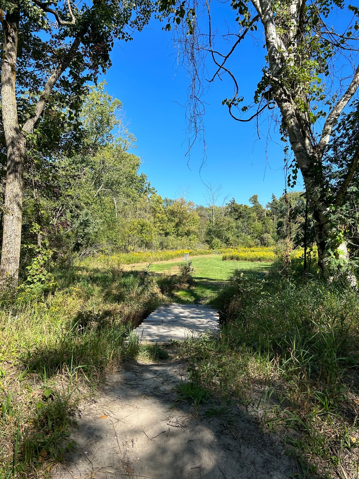 Hole 7