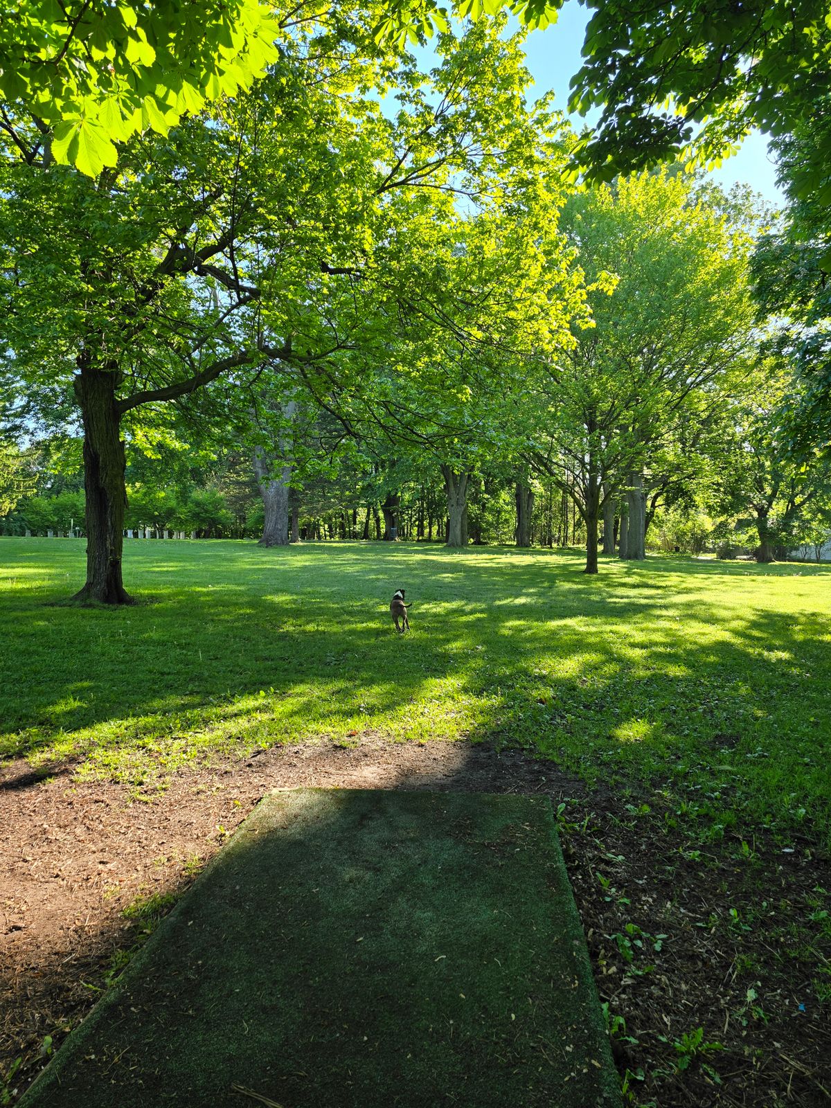 Hole 1