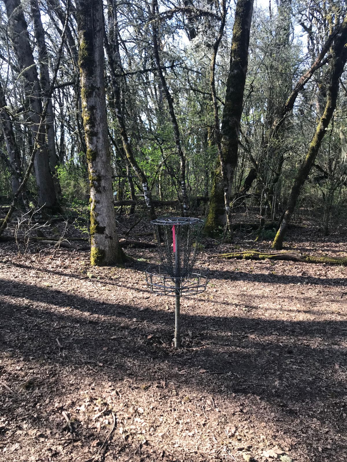 Hole 7 Basket