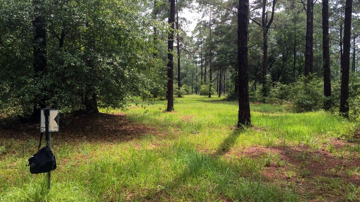 Hole 5