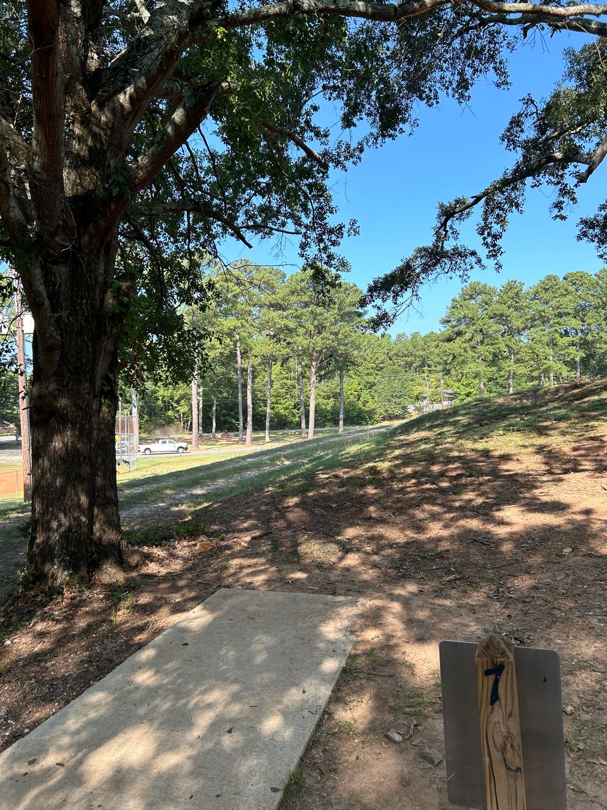 Hole 7 Tee